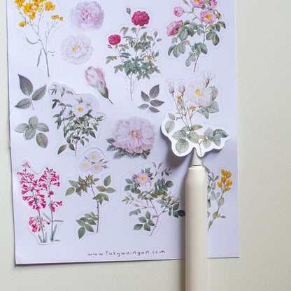 Hola de sticker 19 Stickers Botánicos Vintage Bullet Journal
