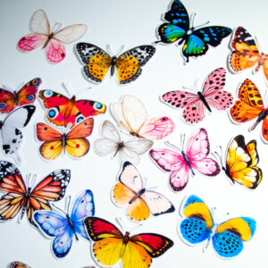 mariposas stickers para decorar